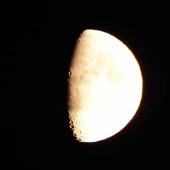 Tim Reed: Four Miniatures for Violin and Cello - No. 4