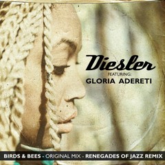 Birds & Bees ft. Gloria Adereti (Renegades Of Jazz 'Honey - Pot Riot' Remix)