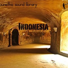 Indonesia Faunethic Sound Library Preview