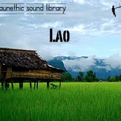 Lao Faunethic Sound Library Preview