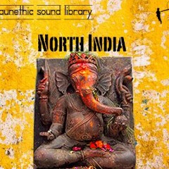 North India Faunethic Sound Library Preview