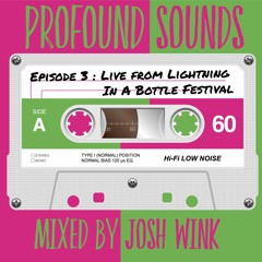 Profound Sounds Episode 3 - Live From Lightning In A Bottle Festival