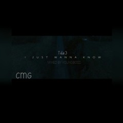 I Just Wanna Know [Mixed By YoungBoss]
