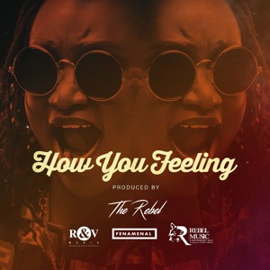 How You Feeling (Acappella) - Fena Gitu