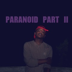 Paranoid Part II  (Don)