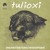 Artwork for Tulioxi - Bring The Funk To The Punk (Cabaret Nocturne Remix) [preview]