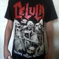 Celula - Escape From Reality