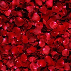 Definnis Wedding Cocktail Hour Mix (6 2016)
