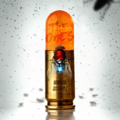 Akrobatik - The Ones (Prod. JustSayPLZ)