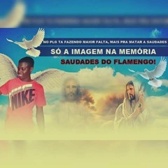 MC VINICINHO - MEDLEY DE SAUDADES EM MEMORIA DO FLAMENGO DO PLG [ DJ MX & JN DO PLG ] BRABA !