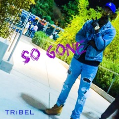 Tribel - So Gone (freestyle) #TribeMix