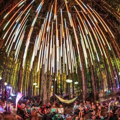 Mixology: Electric Forest 2016 Edition