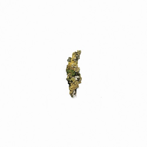 (Snippet) 05 Mind Against - LongBrightDark -mst