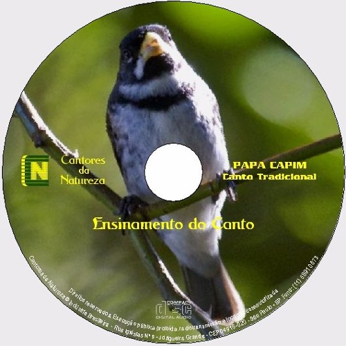 Stream AMOSTRA DO PAPA CAPIM by cantoresdanatureza
