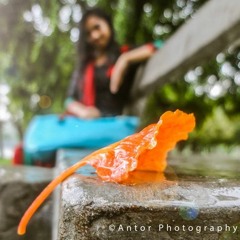 O Pagol Mon Monre Mon Keno Eto Kotha Bole