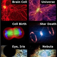 kiss my basss @ space pollyana