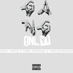 Furly Wood X Yung Pharaoh X Pabloxtrabarz - GANG ONLY
