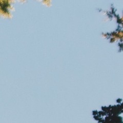 Discovery At Night - Ludovico Einaudi (Michiel Meire cover)