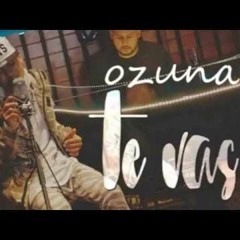 TE VAS - OZUNA - DJLEIITOO (VERSION CUMBIA)