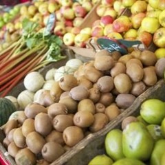 The Fruits - The Noviscerall EP Out Now!