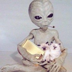 Meechie Marley Ft Diana Radomyslsky - Lit