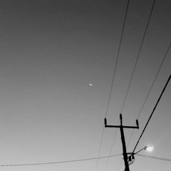 Scatterbrain - Glass