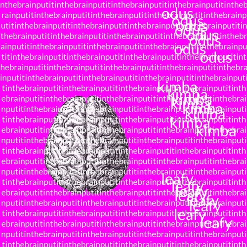 ny odus x Kimba Lang - Put It In The Brain [prod. TenderLeafyGreens]