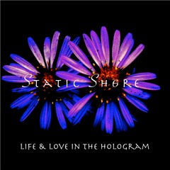 Never Been Said (Original Mix)