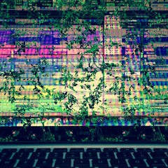 Vortex w/ LIP!, Leaf Set, & elton aura