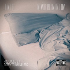 Never Been In Love (Album Version)