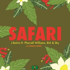 Safari - J Balvin Ft. Pharell Williams & Sky (Dj Gindor Remix)