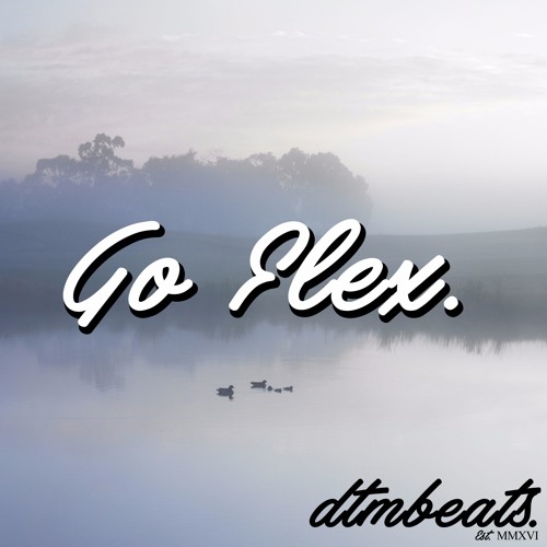 Download Post Malone - Go Flex (dtm Remix)