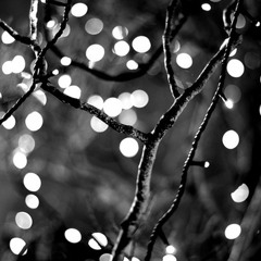 Stay Cover ( Rihanna )