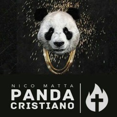 Panda cristiano - Nico Matta