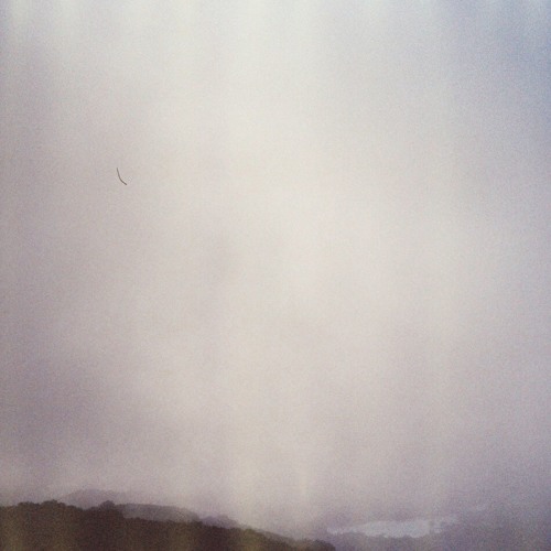 a meadow jutting out into the sea