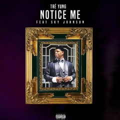 Notice Me (Feat. Sky Johnson)(Prod by Wav3king)