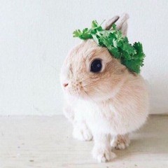 주와 함께 가리라