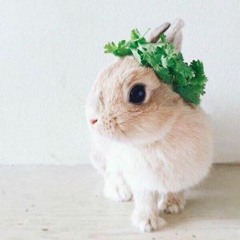 우리는 주의 백성이오니