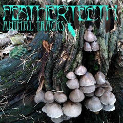 21 Ways-album version