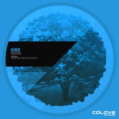 VinS - Human (Alex Brothers Remix)