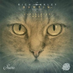 Premiere: Rich Wakley - Off The Chain (Wade Remix) [Suara]