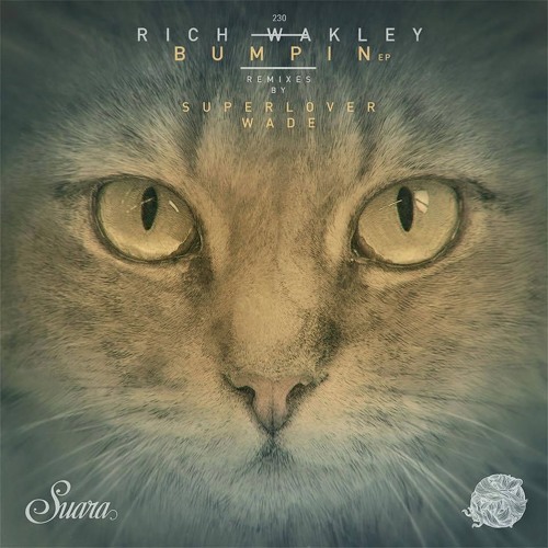 Premiere: Rich Wakley - That's The Joint [Suara]