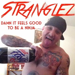 Damn It Feels Good To Be A Ninja