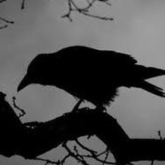 Black Bird - ArDaBars Ft DivBoul & Jaye ( Prod By. DJ Neeb )