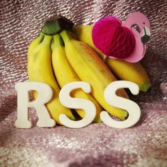 RSS DISCO #008 / summer 2016