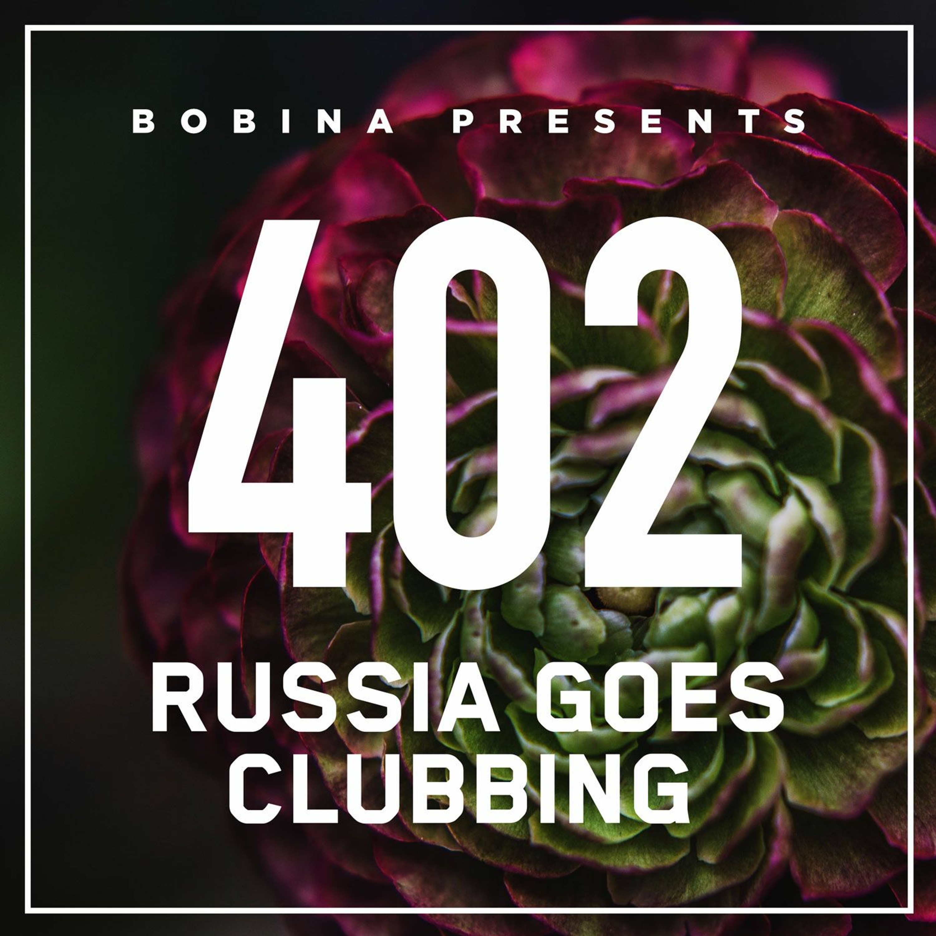 Russia Goes Clubbing