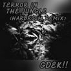 Terror In The Jungle (HardRoom Remix)