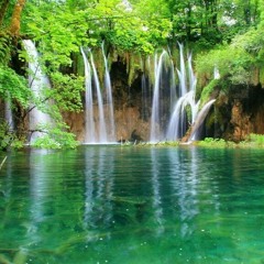 سوره هود(وَلَقَدْ أَرْسَلْنَا نُوحًا إِلَىٰ قَوْمِهِ)الشيخ حازم سيف