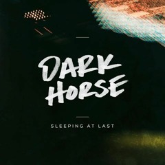 Dark Horse - Sleeping At Last