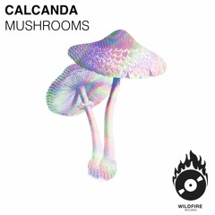 Calcanda - Mushrooms